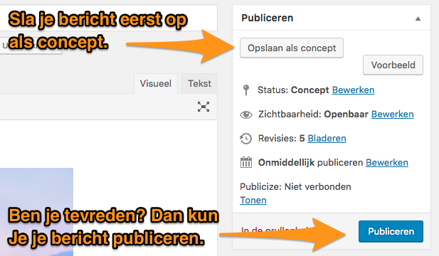 blog_handleiding_-_bericht_publiceren